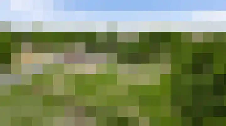 Rijksweg 15 Baexem thumbnail 40