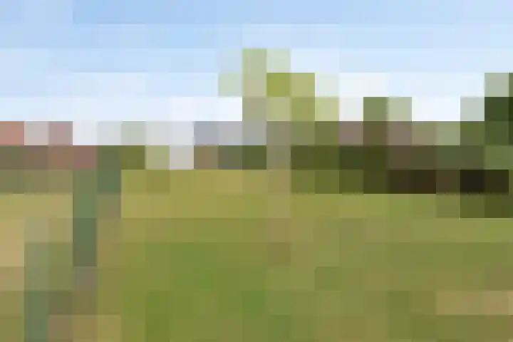 Rijksweg 158 Gronsveld thumbnail 32