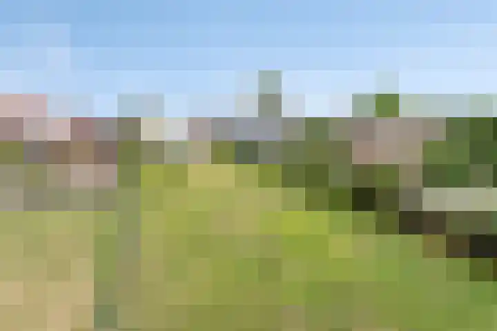 Rijksweg 158 Gronsveld thumbnail 37