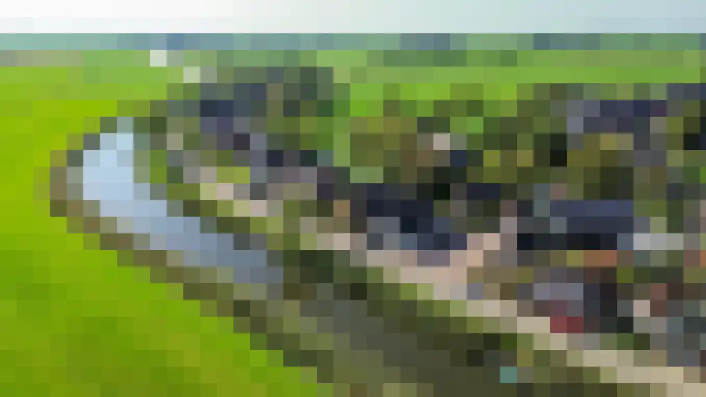 Rijksweg 171 in Ten Post
