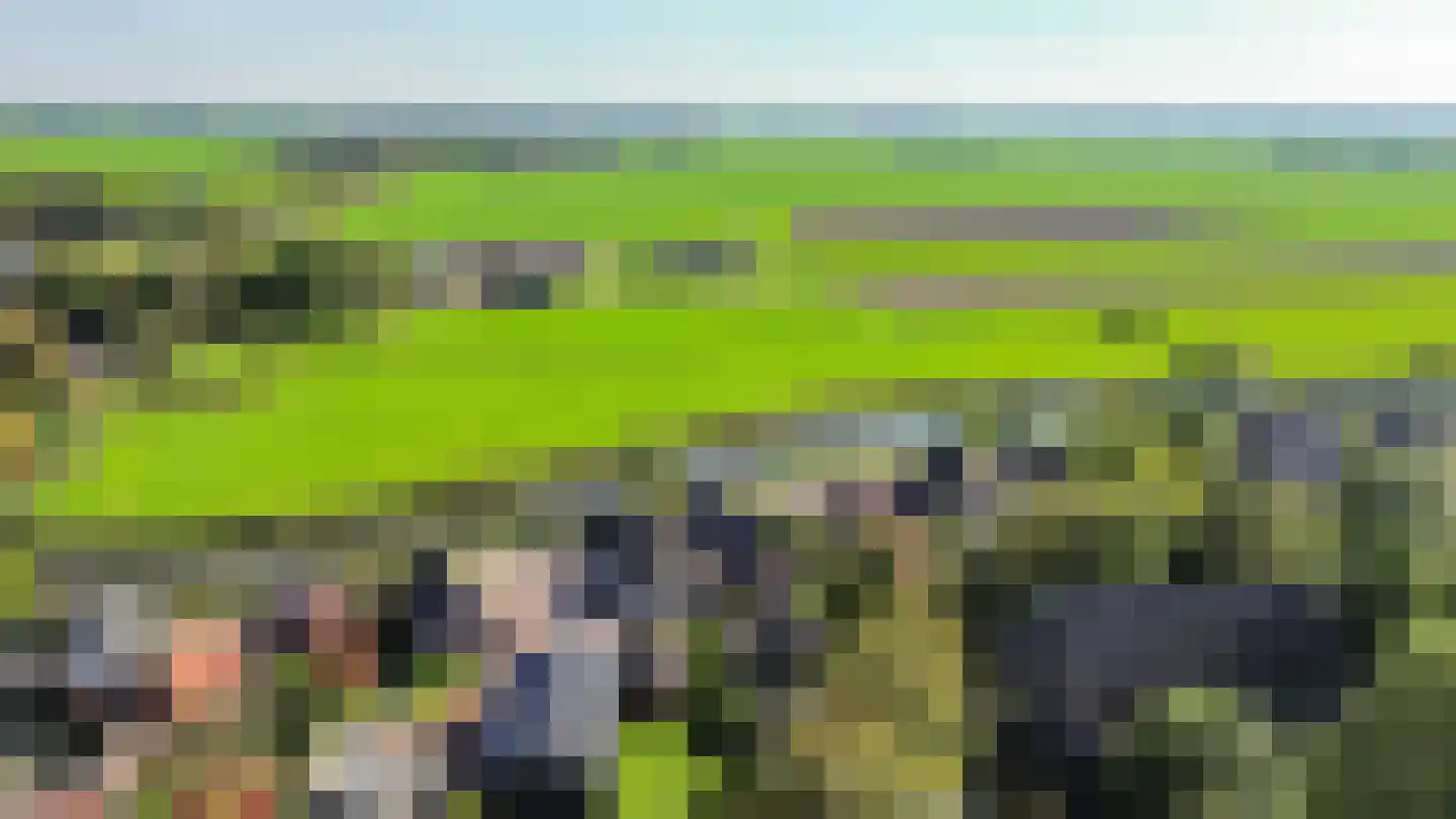 Rijksweg 171 Ten Post thumbnail 17