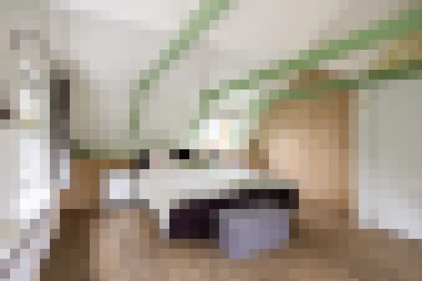 Rijksweg 171 Ten Post thumbnail 57