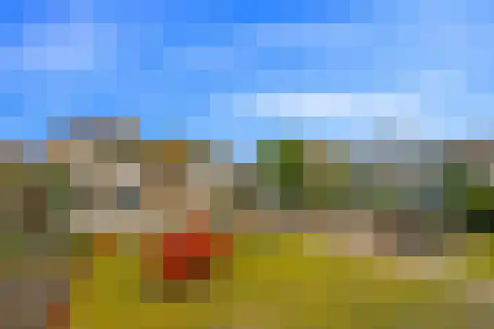 Rijksweg 173 Mook thumbnail 29