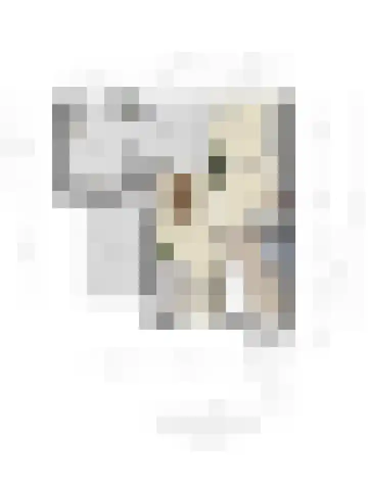Rijksweg 173 Mook thumbnail 39