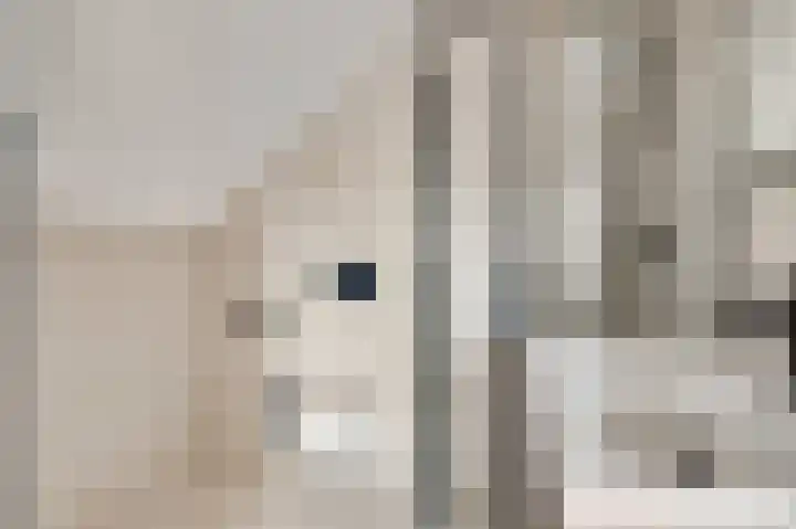 Rijksweg 178 D Berg en Terblijt thumbnail 9