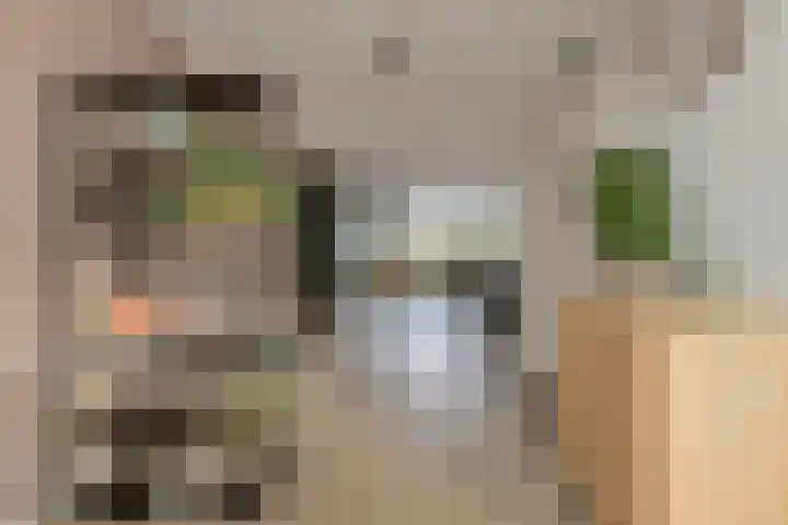 Rijksweg 179 B Dorst thumbnail 13