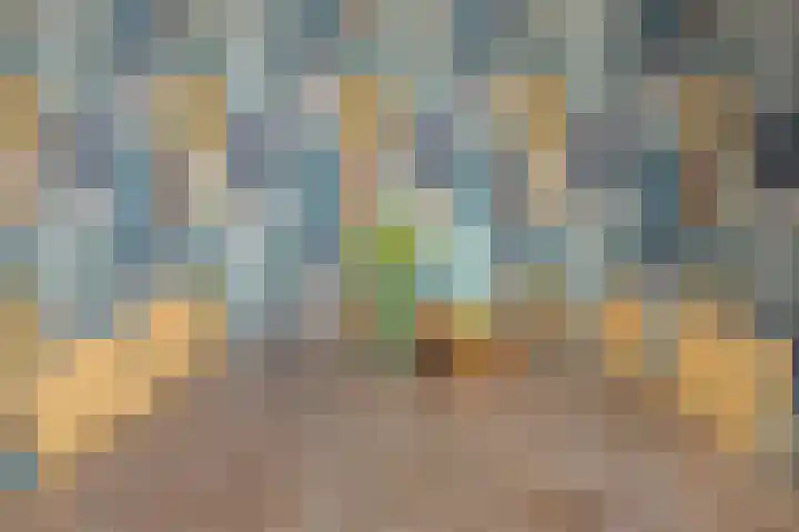 Rijksweg 179 B Dorst thumbnail 19