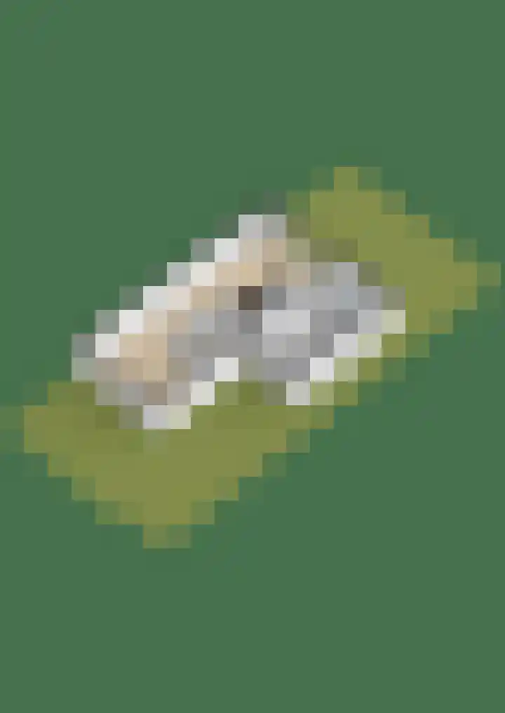 Rijksweg 179 B Dorst thumbnail 60