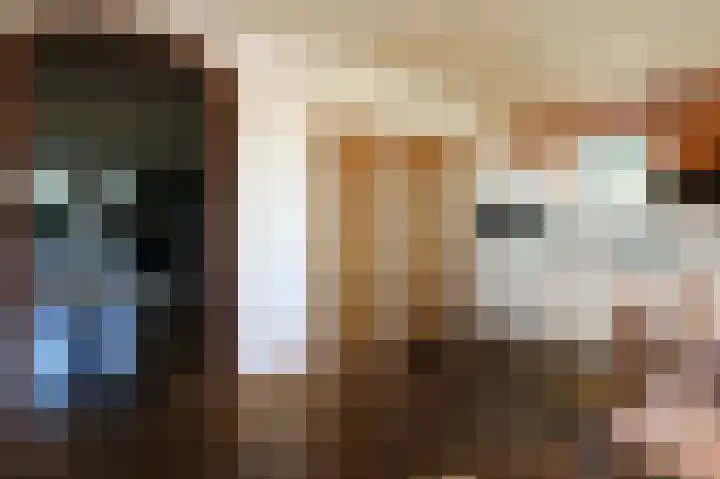 Rijksweg 18 Smilde thumbnail 11
