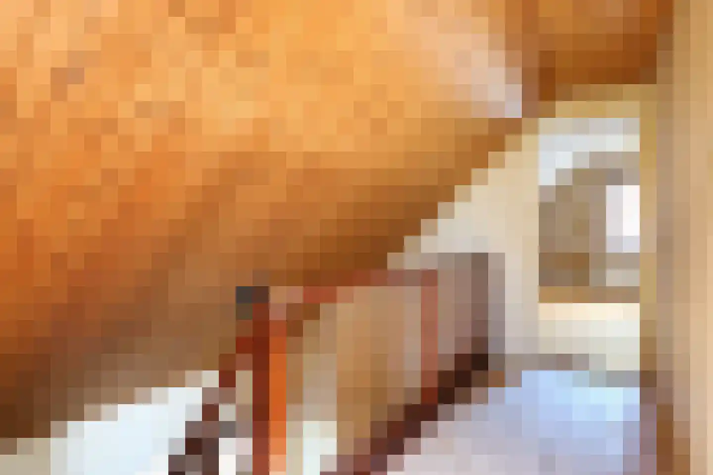 Rijksweg 18 Smilde thumbnail 18