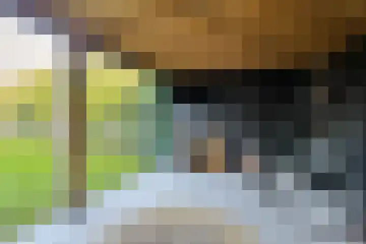 Rijksweg 181 A Dorst thumbnail 45