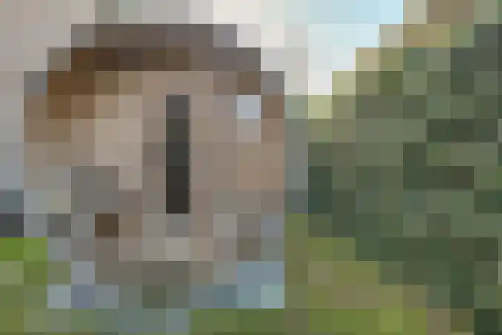 Rijksweg 181 A Dorst thumbnail 51