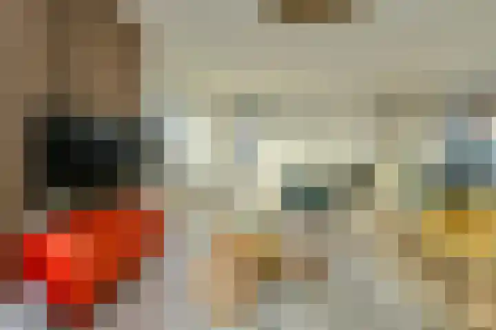 Rijksweg 181 A Dorst thumbnail 8
