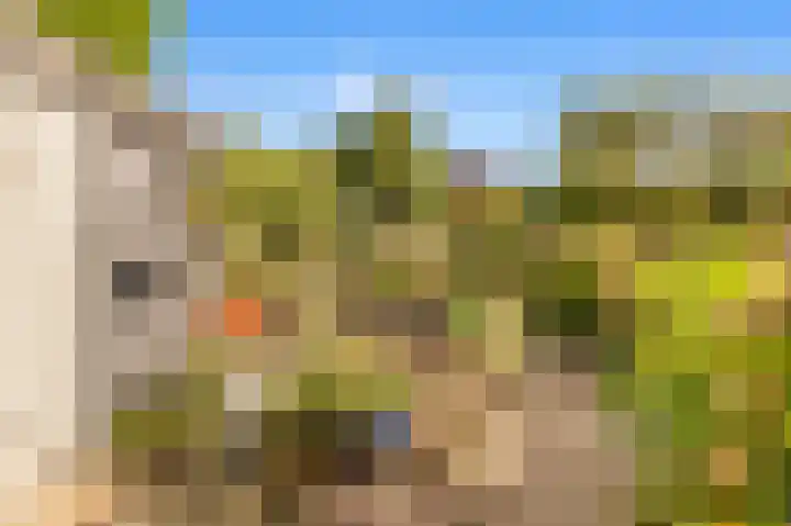 Rijksweg 182 Limmen thumbnail 22