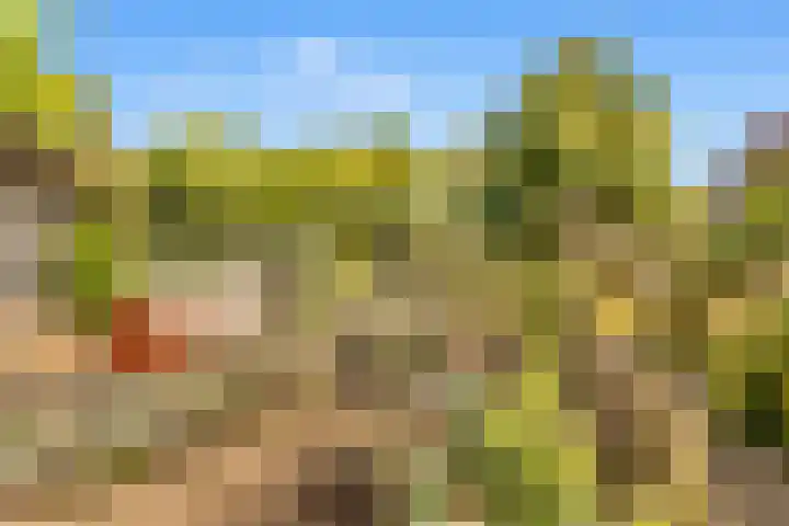Rijksweg 182 Limmen thumbnail 23
