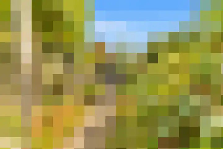 Rijksweg 182 Limmen thumbnail 24