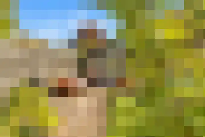 Rijksweg 182 Limmen thumbnail 25