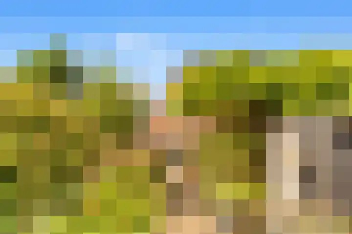 Rijksweg 182 Limmen thumbnail 29