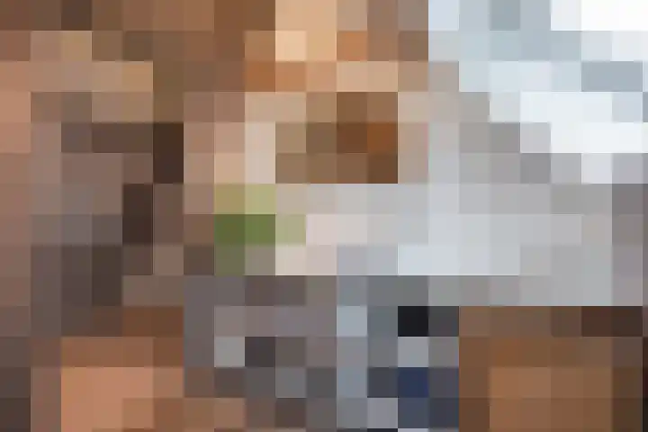 Rijksweg 183 Ten Post thumbnail 18
