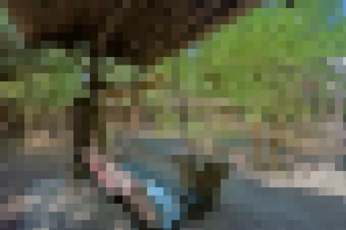Rijksweg 185 Malden thumbnail 33