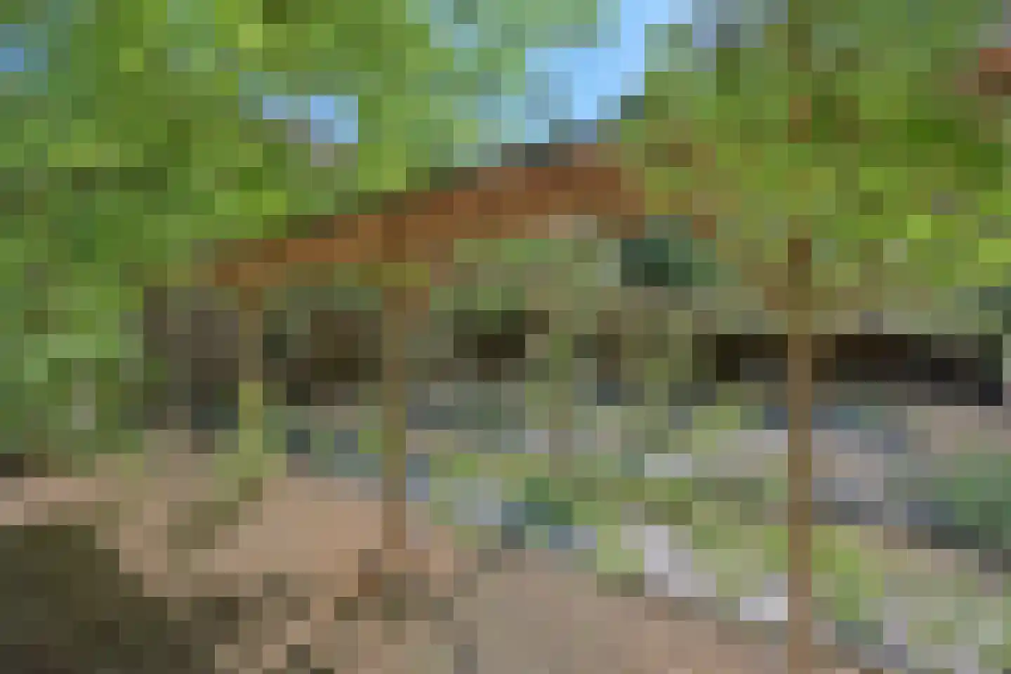 Rijksweg 185 Malden thumbnail 37