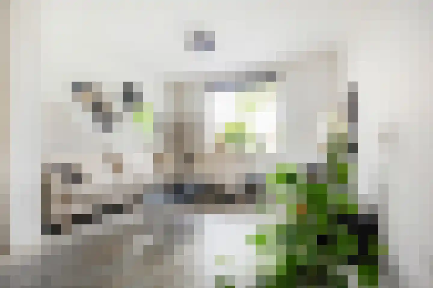 Rijksweg 187 Dorst thumbnail 12