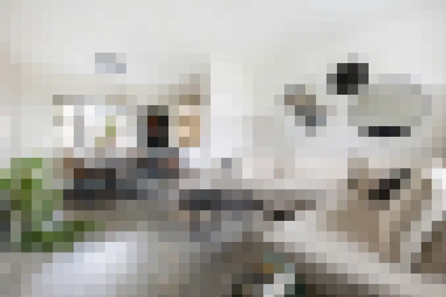 Rijksweg 187 Dorst thumbnail 13