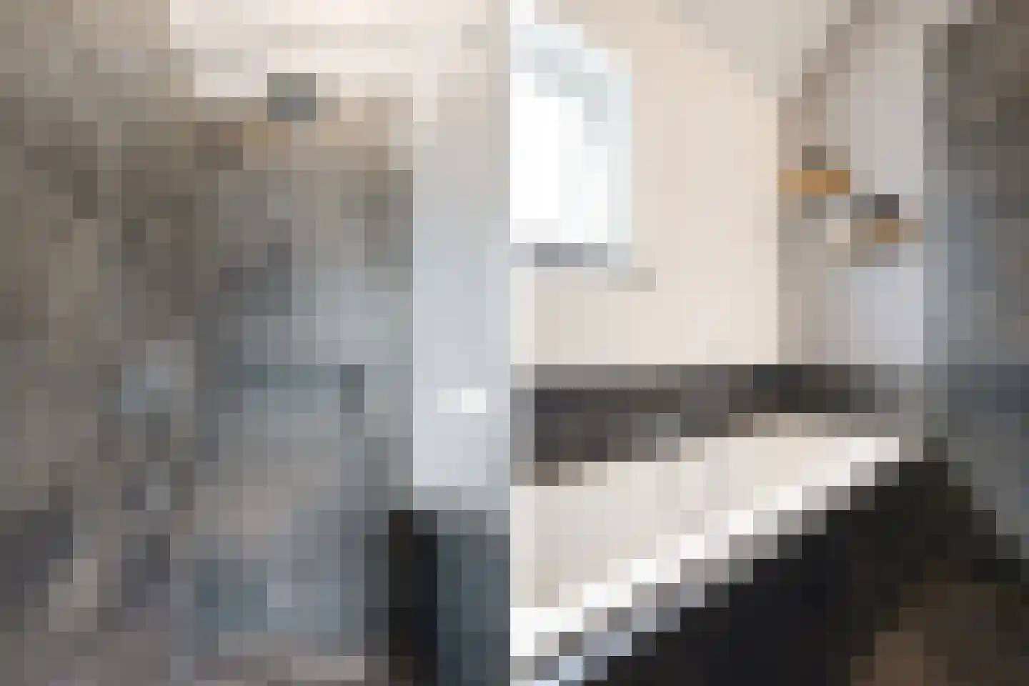 Rijksweg 187 Dorst thumbnail 27