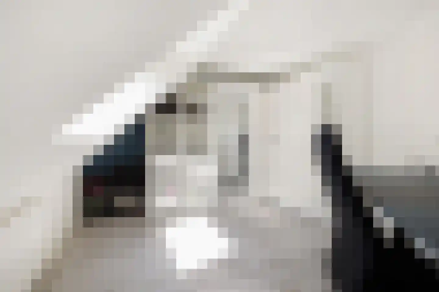 Rijksweg 187 Dorst thumbnail 36