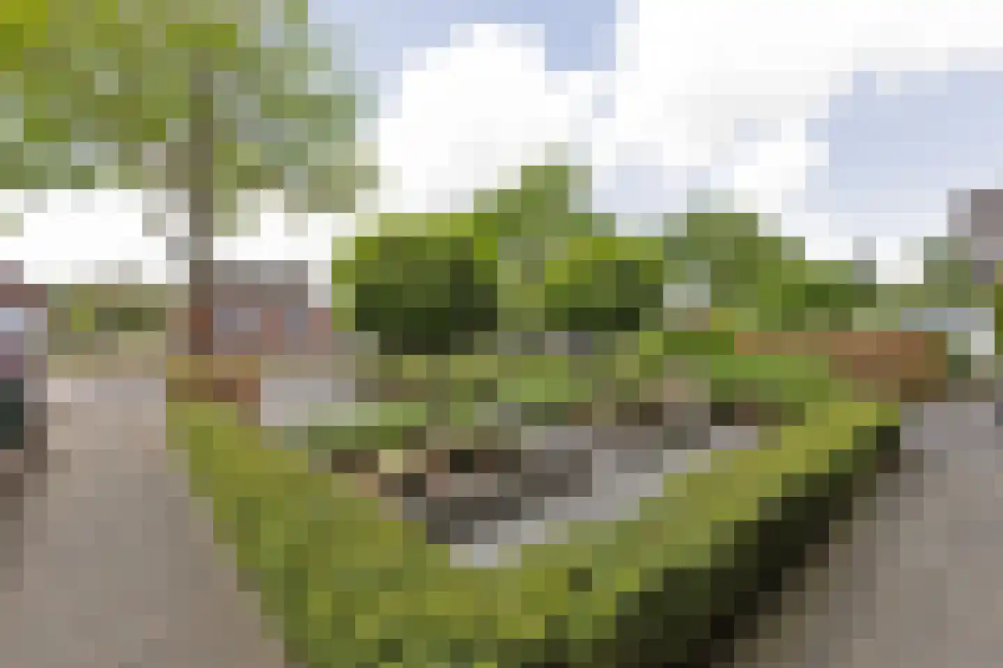 Rijksweg 187 Dorst thumbnail 6