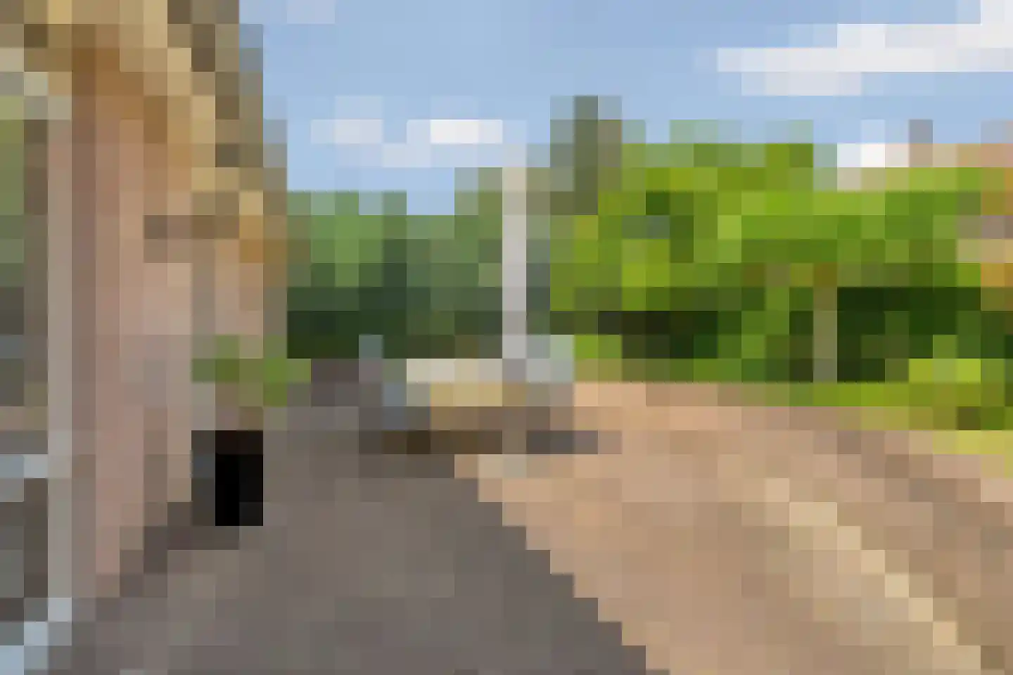 Rijksweg 189 Malden thumbnail 29