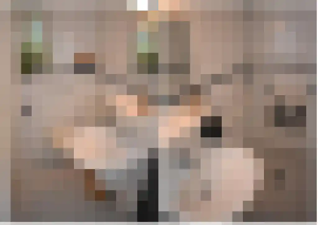 Rijksweg 189 Malden thumbnail 31