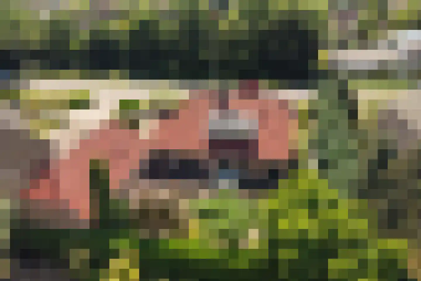 Rijksweg 189 Malden thumbnail 36