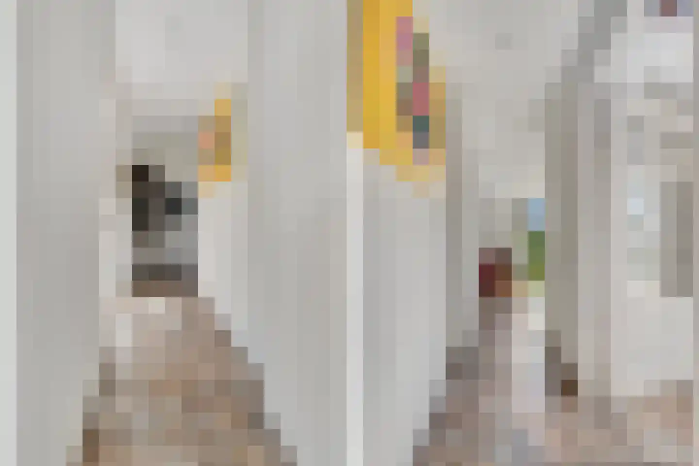 Rijksweg 189 Malden thumbnail 5