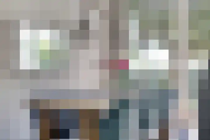 Rijksweg 19 a Schaijk thumbnail 10