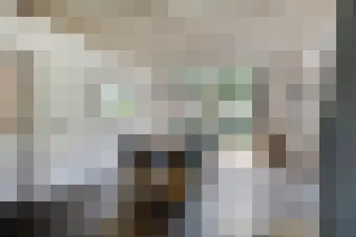 Rijksweg 19 a Schaijk thumbnail 11