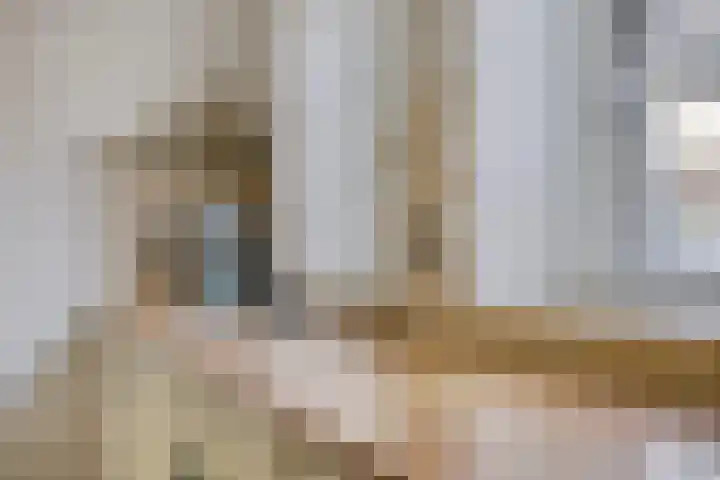 Rijksweg 19 a Schaijk thumbnail 13