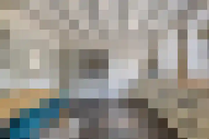 Rijksweg 19 a Schaijk thumbnail 16