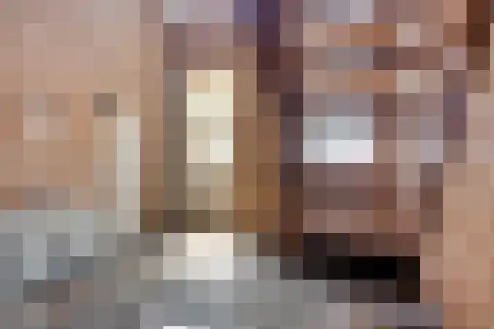 Rijksweg 19 a Schaijk thumbnail 19