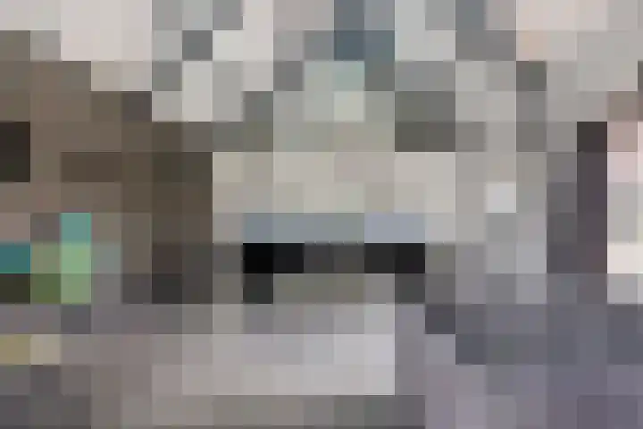 Rijksweg 19 a Schaijk thumbnail 29