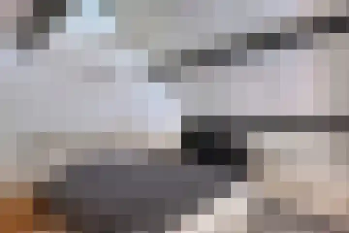 Rijksweg 19 a Schaijk thumbnail 38