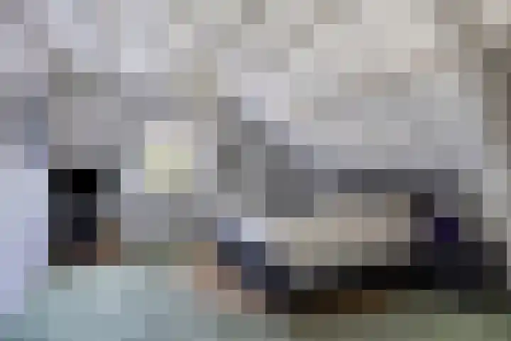 Rijksweg 19 a Schaijk thumbnail 39