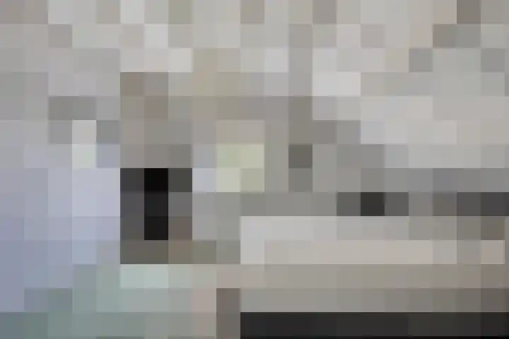 Rijksweg 19 a Schaijk thumbnail 40