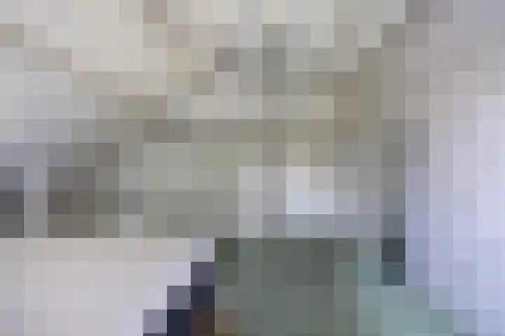 Rijksweg 19 a Schaijk thumbnail 42