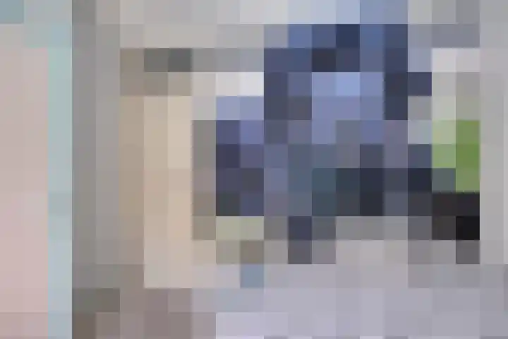 Rijksweg 19 a Schaijk thumbnail 49