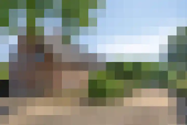 Rijksweg 19 a Schaijk thumbnail 57