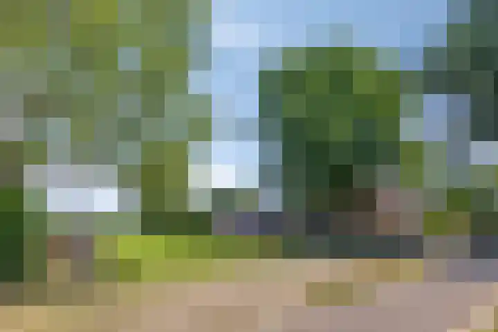 Rijksweg 19 a Schaijk thumbnail 58