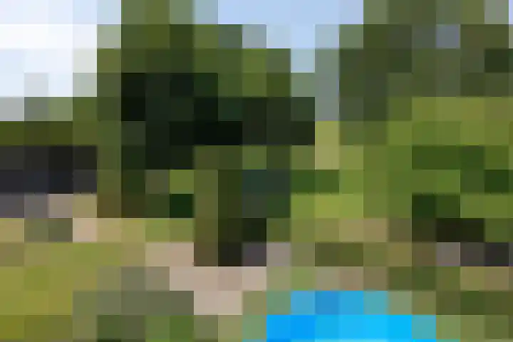 Rijksweg 19 a Schaijk thumbnail 65
