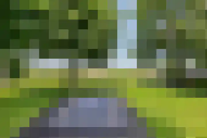 Rijksweg 19 a Schaijk thumbnail 67