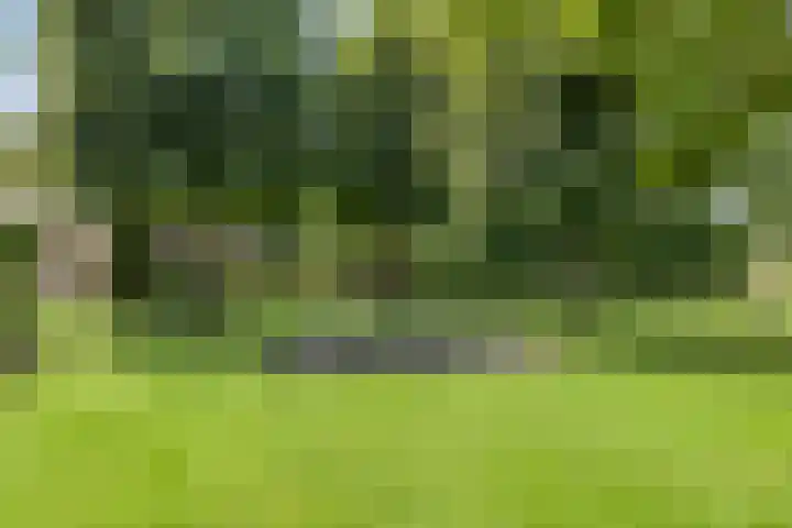 Rijksweg 19 a Schaijk thumbnail 68